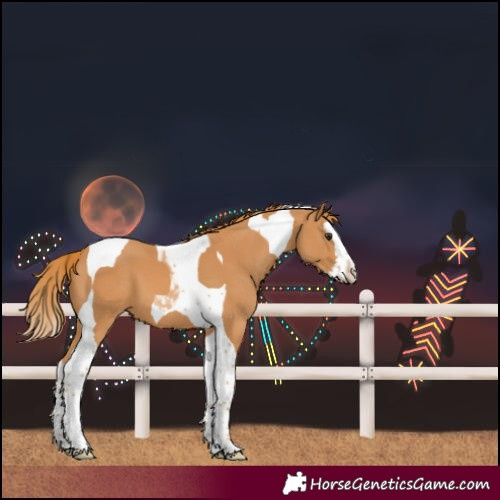 Horse Color:Unknown 