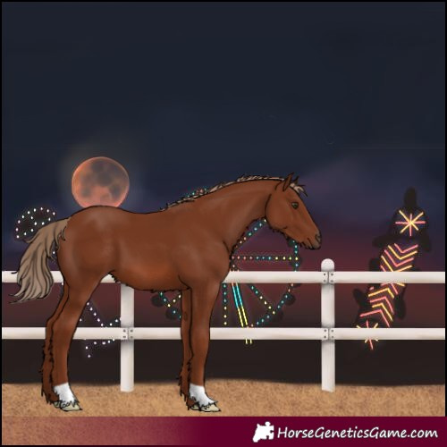 Horse Color:Unknown 
