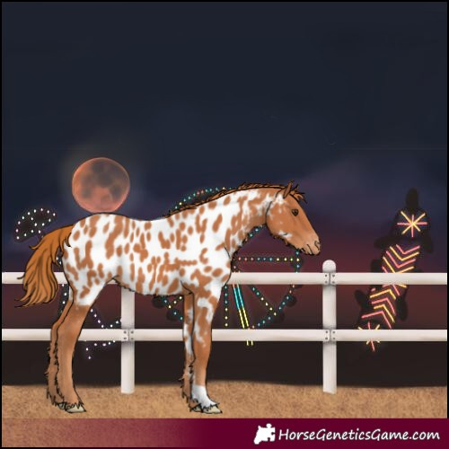 Horse Color:Unknown 