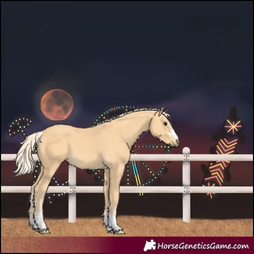 Horse Color:Unknown 
