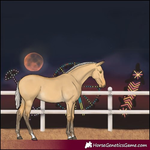 Horse Color:Silver Buckskin Dun 