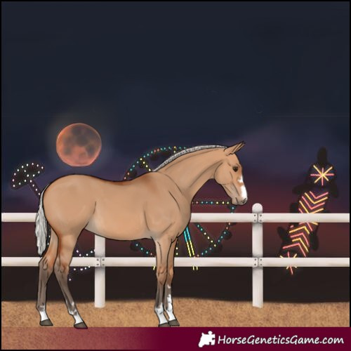 Horse Color:Silver Bay Dun 