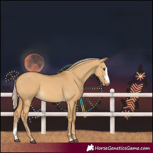 Horse Color:Palomino Dun Sabino