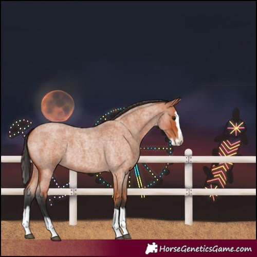 Horse Color:Bay Roan Splash 