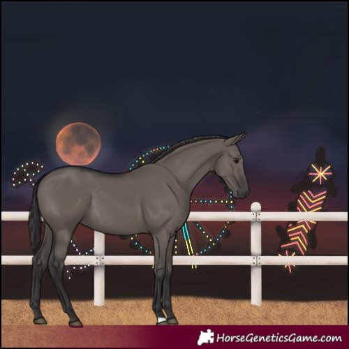 Horse Color:Smoky Grullo