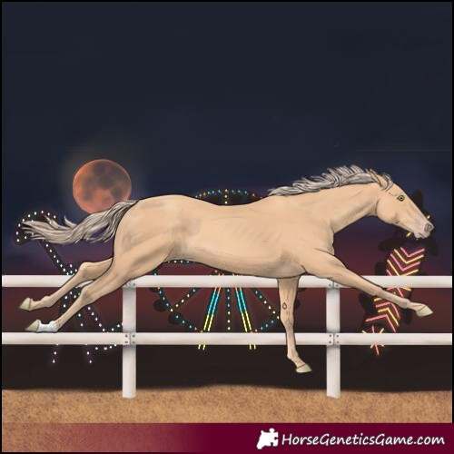 Horse Color:Gold Champagne 