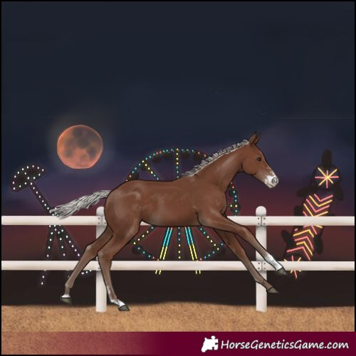 Horse Color:Silver Black Sabino