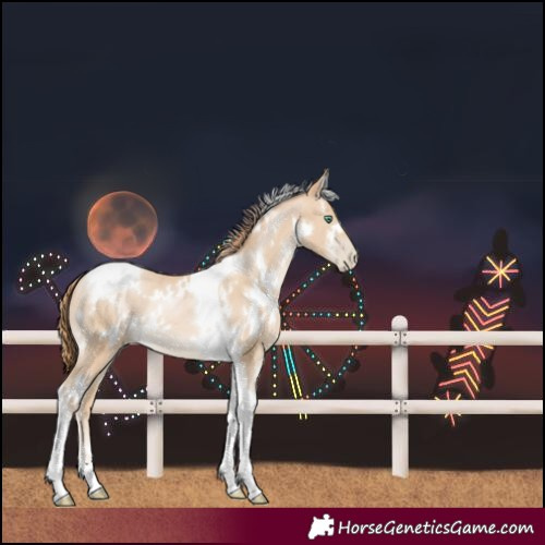 Horse Color:White Spotted Smoky Black Pearl Tobiano 