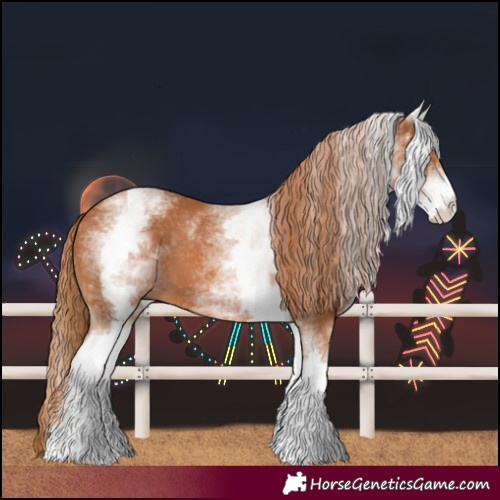 Horse Color:White Spotted Chestnut 