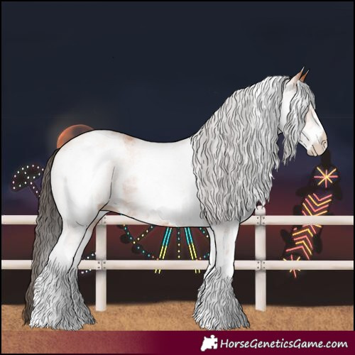 Horse Color:White Spotted Bay 