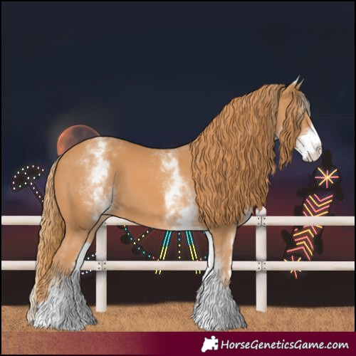 Horse Color:White Spotted Chestnut