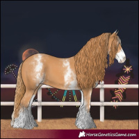 Horse Color:White Spotted Chestnut 