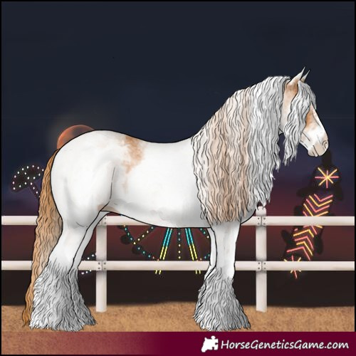 Horse Color:White Spotted Chestnut 