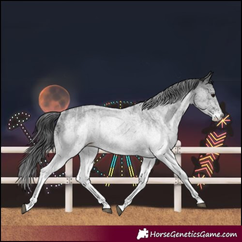 Horse Color:White Spotted Blue Roan Rabicano  and White Spotted Blue Roan Rabicano 