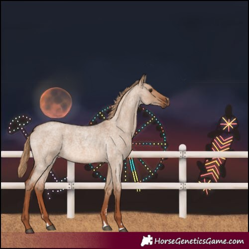 Horse Color:Red Dun Roan