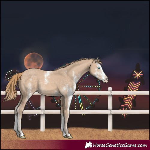 Horse Color:Perlino Sabino Rabicano 
