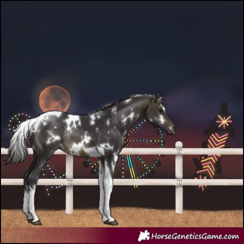 Horse Color:White Spotted Buckskin Tobiano Rabicano