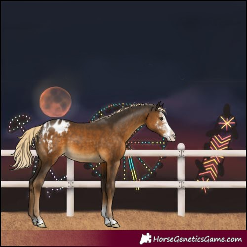 Horse Color:Chocolate Palomino Sabino Varnish 