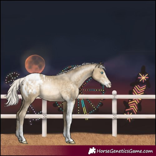 Horse Color:Silver Buckskin Pearl Sabino Blanket Rabicano 