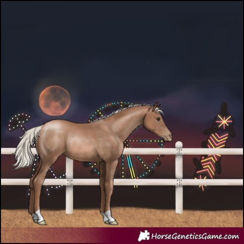 Horse Color:Silver Black Pearl Rabicano 