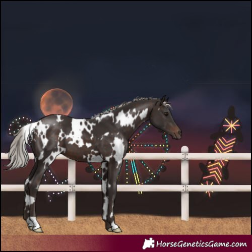 Horse Color:White Spotted Silver Brown