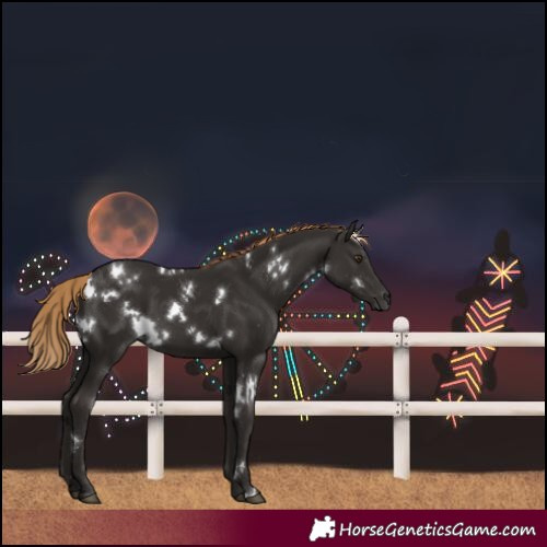 Horse Color:White Spotted Liver Chestnut 