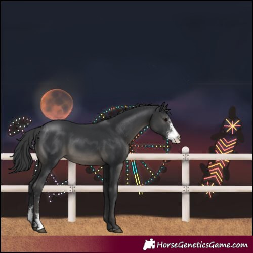 Horse Color:Black Sabino