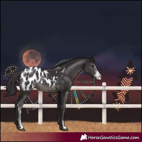 Horse Color:Smoky Black Sabino Blanket 