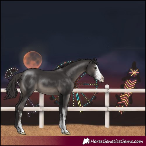 Horse Color:Smoky Black Sabino 