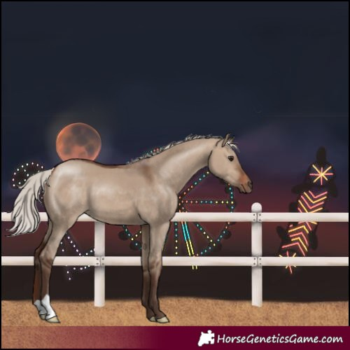 Horse Color:Silver Brown Dun