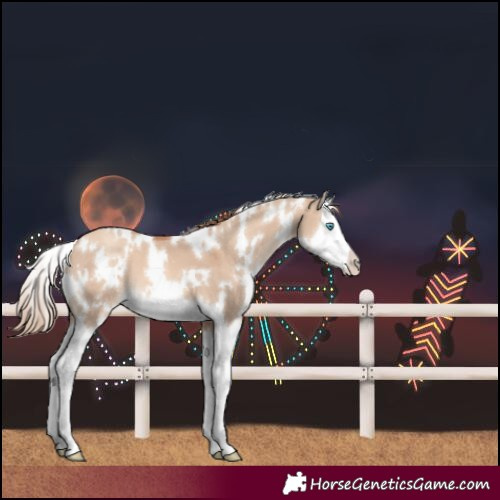 Horse Color:White Spotted Gold Champagne Dun Splash