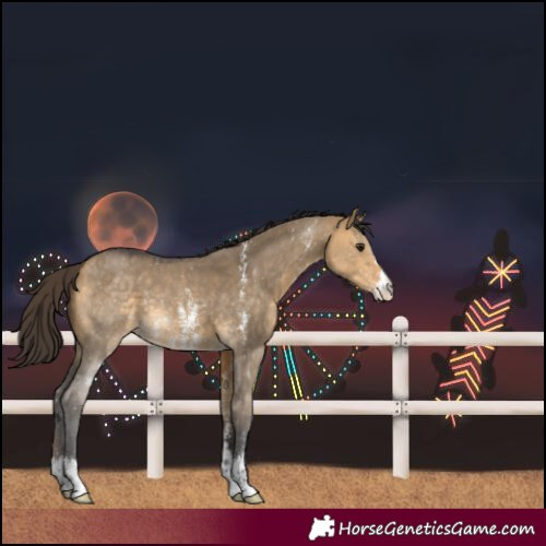 Horse Color:Buckskin Dun Sabino