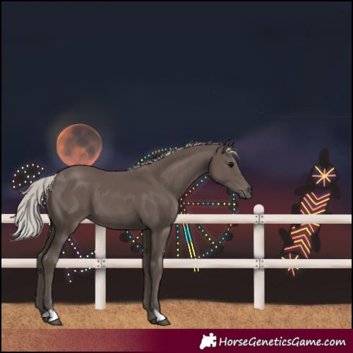 Horse Color:Silver Black