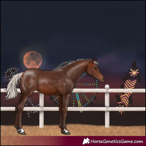 Horse Color:Silver Brown