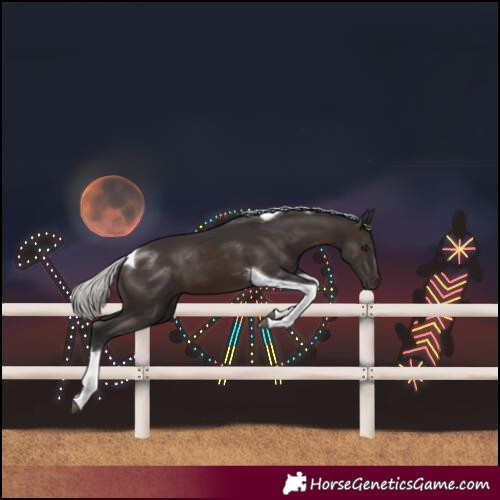 Horse Color:Silver Brown Tobiano 