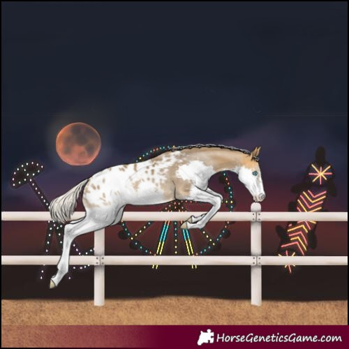 Horse Color:Silver Buckskin Splash Blanket Rabicano 