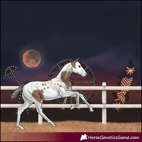 Horse Color:Classic Champagne Splash Tobiano 