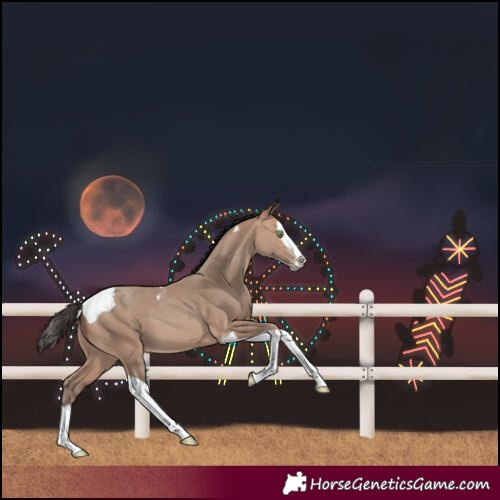 Horse Color:Amber Champagne Splash Tobiano