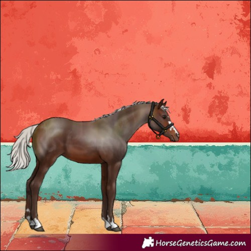Horse Color:Silver Brown 