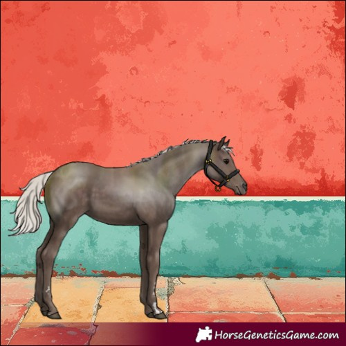 Horse Color:Silver Black