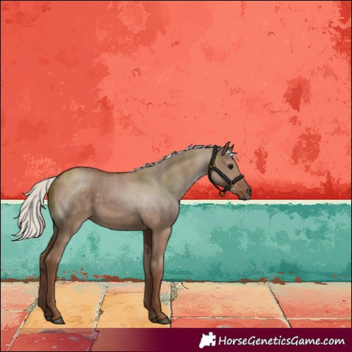 Horse Color:Silver Grullo 