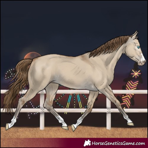 Horse Color:Gray Smoky Creme Dun 