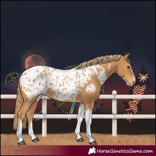 Horse Color:Chestnut Tobiano Blanket