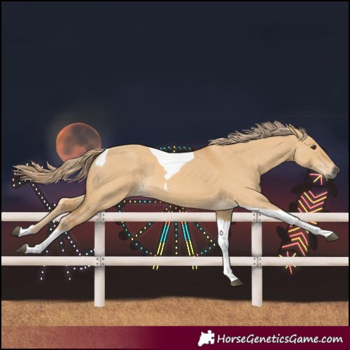 Horse Color:Red Dun Tobiano