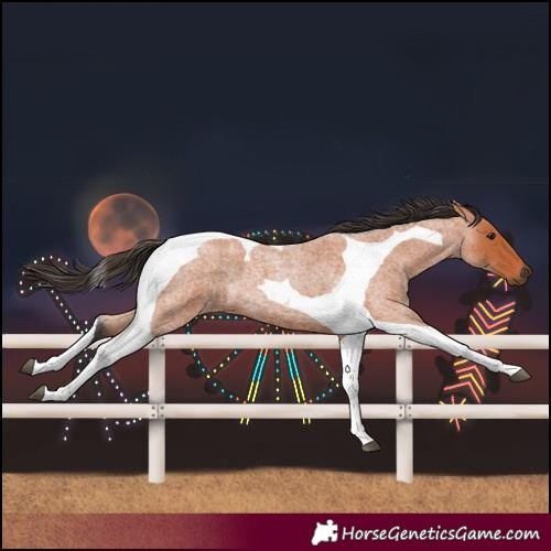 Horse Color:Bay Roan Tobiano