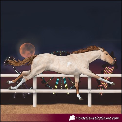 Horse Color:Red Dun Roan Tobiano 