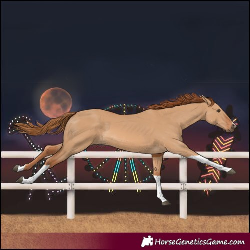 Horse Color:Red Dun Tobiano 