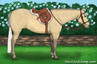Horse Color:Silver Buckskin 