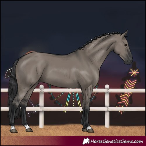 Horse Color:Grullo 
