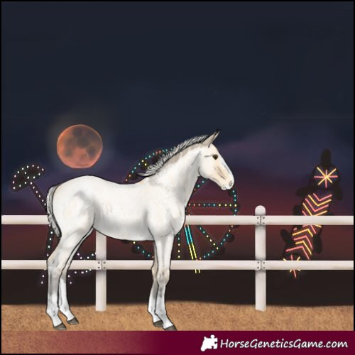 Horse Color:Silver Buckskin Ice Roan Splash 